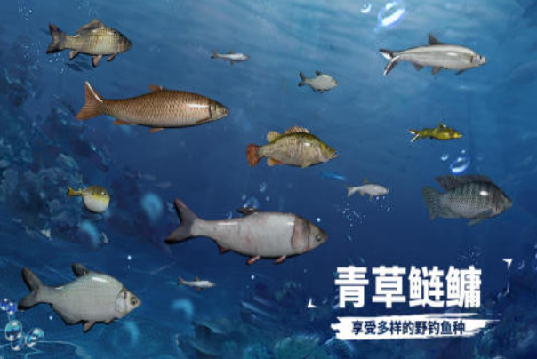 2025有趣的打魚(yú)休閑游戲top5