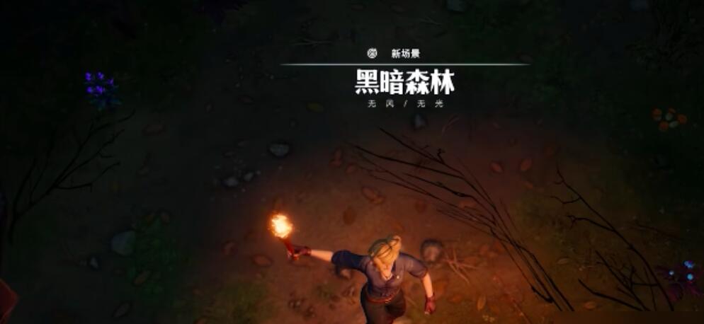 荒原曙光木質(zhì)火把怎么制作 荒原曙光木質(zhì)火把制作技巧截圖