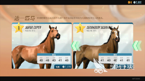 模擬馬場游戲排行TOP5 2025趣味模擬馬場游戲大全  

模擬馬場游戲排行TOP5 2025 模擬馬場游戲推薦合集截圖