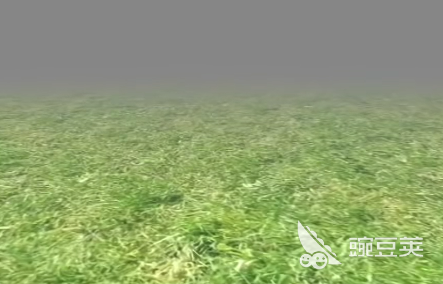 約翰的農(nóng)場(chǎng)值多少錢(qián)？詳細(xì)價(jià)格分析與解讀截圖