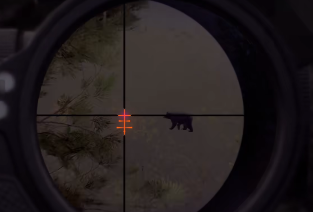 獵人之路怎么打熊 獵人之路打熊方法截圖