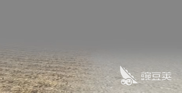 約翰的農(nóng)場瓶子怎么收集 約翰的農(nóng)場瓶子高效收集技巧全解析截圖