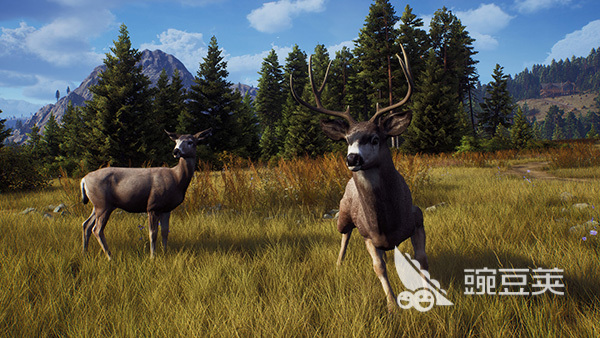 獵人之路教程介紹 獵人之路玩法攻略截圖