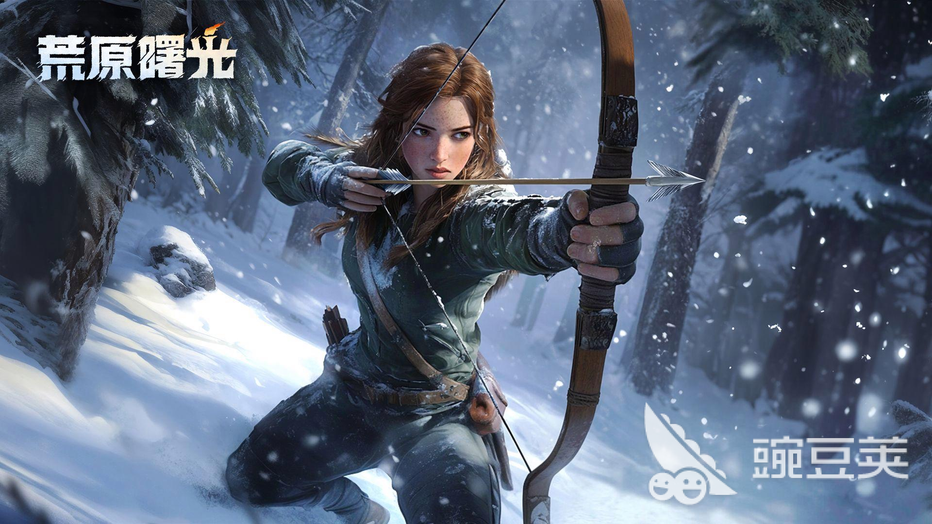 荒原曙光無法連接服務(wù)器？常見原因及解決方法詳解截圖