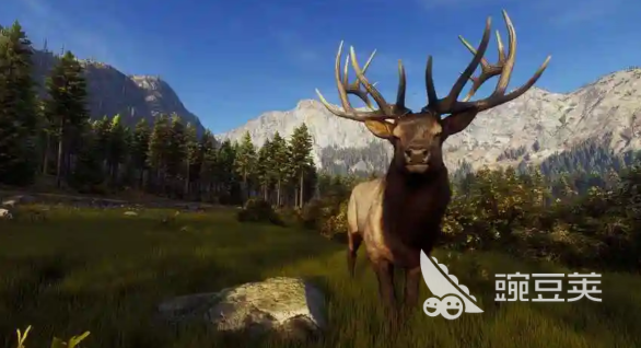 獵人之路白尾鹿刷新位置與高效狩獵路線全攻略截圖