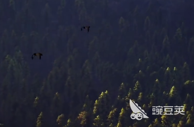 獵人之路釣魚(yú)玩法全解析：探索隱藏的垂釣樂(lè)趣與技巧截圖