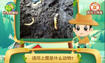 猜動(dòng)物游戲有哪些