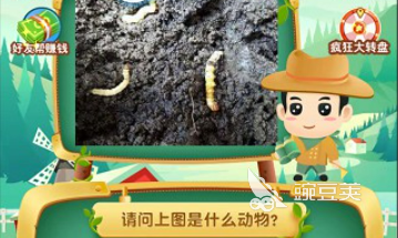 2025最受歡迎的猜動(dòng)物游戲推薦：十大趣味互動(dòng)游戲排行榜截圖