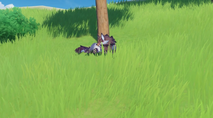 原神在哪里能找到狼 原神野生狼位置一覽截圖