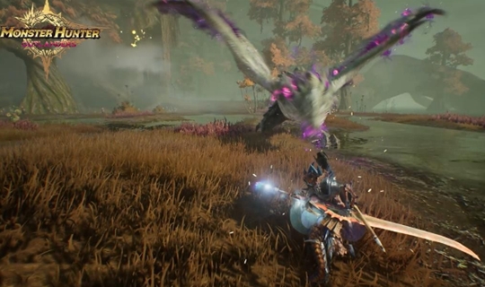 怪物獵人旅人國服有中文嗎 怪物獵人旅人國服游戲介紹 截圖